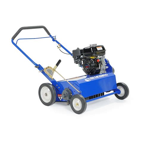 Home depot lawn dethatcher rental. Things To Know About Home depot lawn dethatcher rental. 